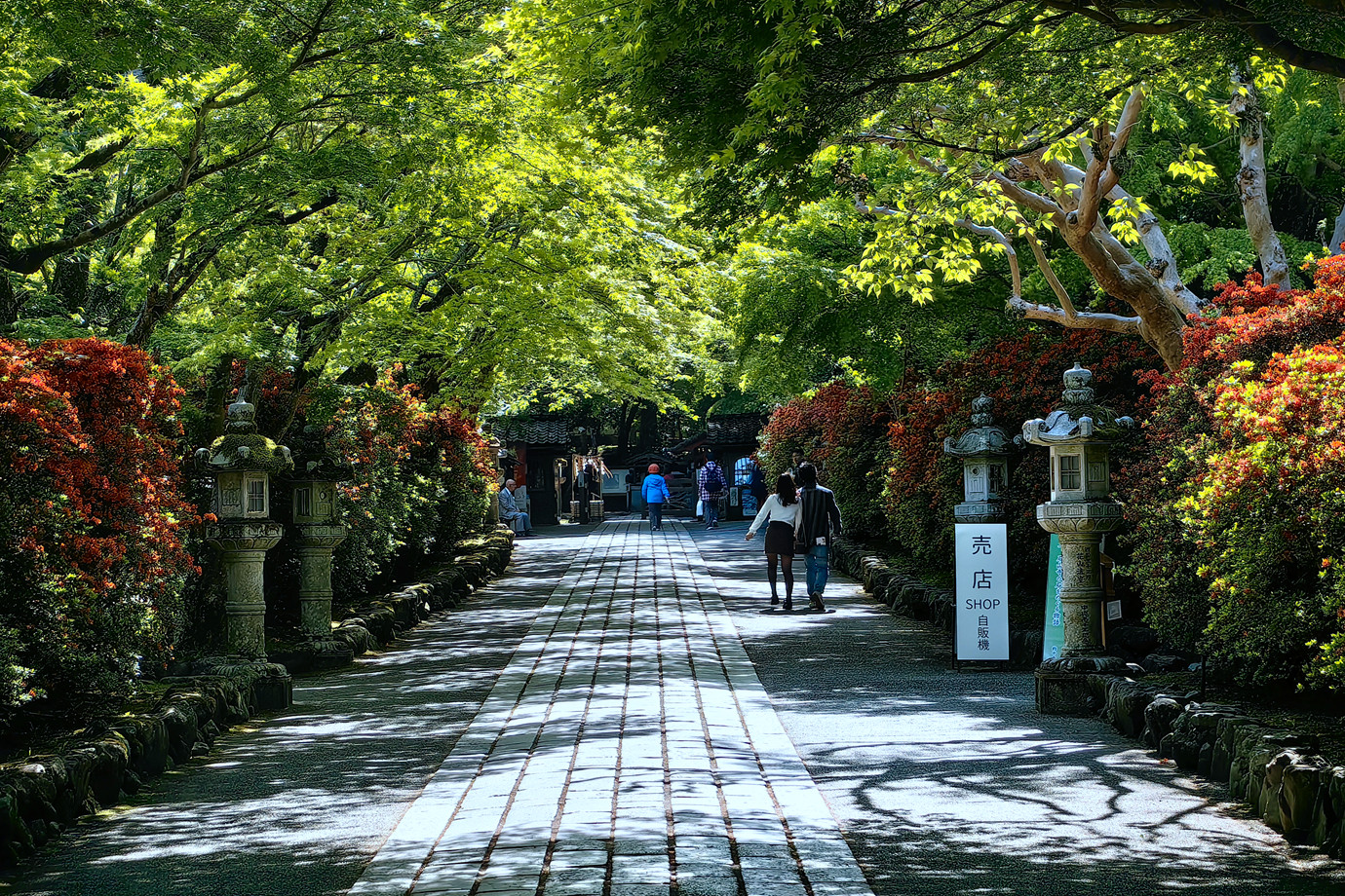 西國三十三所-石光山石山寺